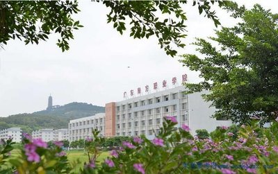 广东南方职业学院