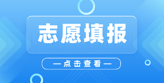 广东3+证书的志愿填报投档原则是怎样的