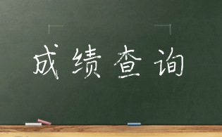 2025年广东3+证书考试成绩怎么查？