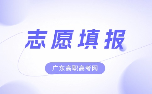 关于做好2024年广东3+证书考试招生志愿填报工作的通知