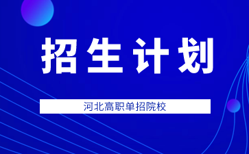 2024年广东岭南职业技术学院高职高考（3+证书）招生计划