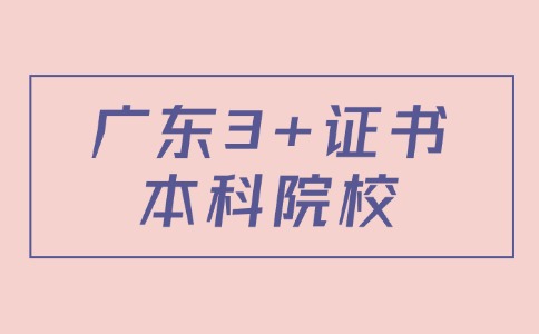 广东3+证书