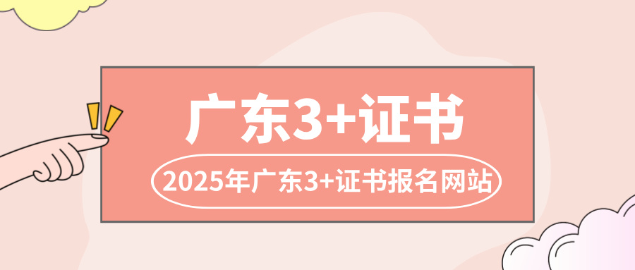 广东3+证书