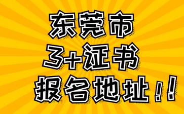 2025年东莞市3+证书高考报名地址