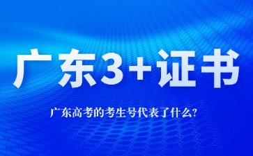 广东高考的考生号代表了什么?