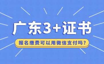 广东3+证书考试报名缴费可以用微信支付吗?