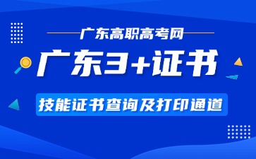 广东3+技能证书查询及打印通道