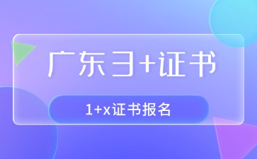 2025年广东3+证书之1+x证书报名