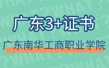 2025年广东3+证书广东南华工商职业学院录取分数线