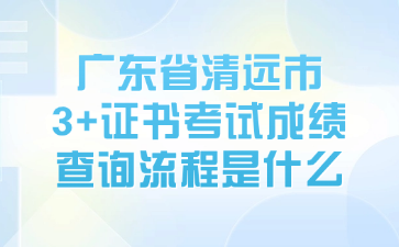 广东省清远市3+证书考试成绩查询流程是什么