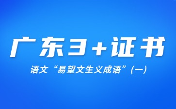 广东3+证书语文“易望文生义成语”(一)