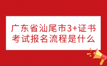 广东省汕尾市3+证书考试报名流程是什么