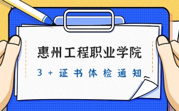 3+证书体检