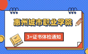 3+证书体检