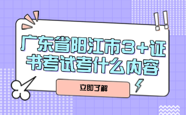 广东省阳江市3+证书考试考什么内容