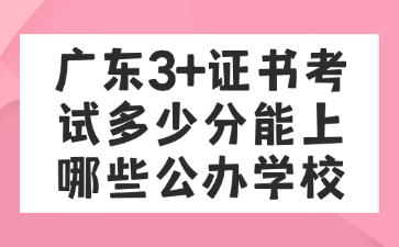 广东3+证书考试多少分能上哪些公办学校
