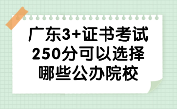 广东3+证书考试250分可以选择哪些公办院校