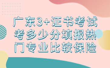 广东3+证书考试考多少分填报热门专业比较保险