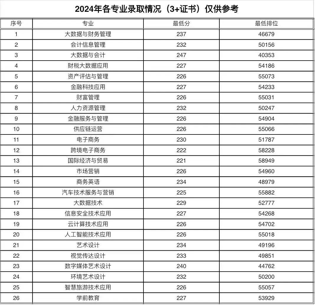 2024年各专业录取情况