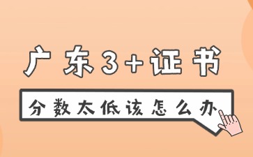 2025年广东3+证书分数