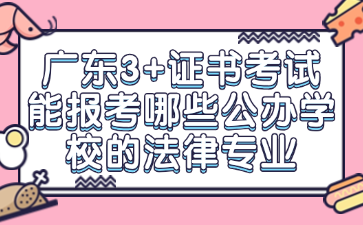 广东3+证书考试能报考哪些公办学校的法律专业