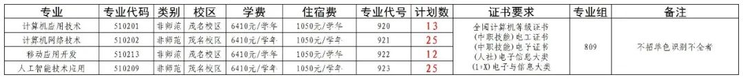 广东茂名幼儿师范专科学校2025年3+证书809组