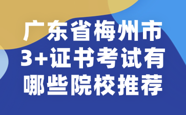 广东省梅州市3+证书考试有哪些院校推荐