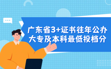 广东省3+证书往年公办大专及本科最低投档分