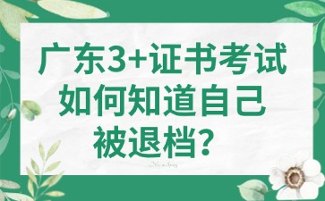 广东3+证书考试如何知道自己被退档？