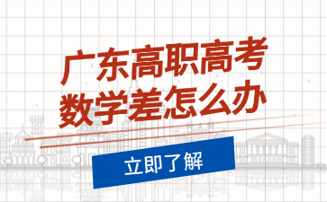广东高职高考数学差怎么办