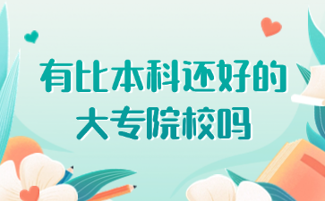有比本科还好的大专院校吗