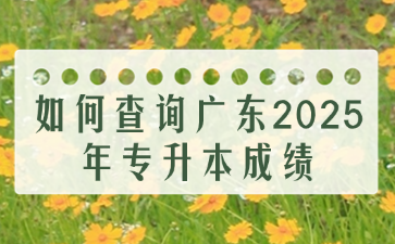 如何查询广东2025年专升本成绩
