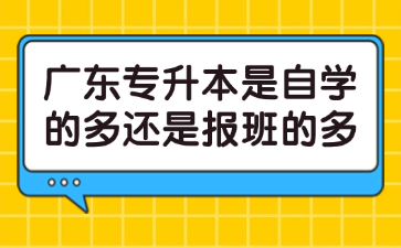 广东专升本是自学的多还是报班的多