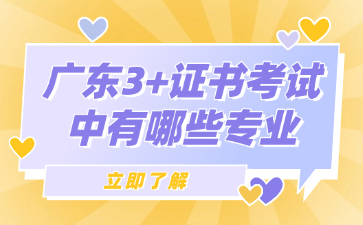 广东3+证书考试中有哪些专业