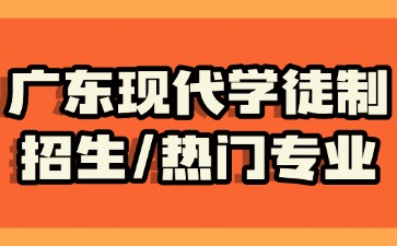 广东现代学徒制招生/热门专业