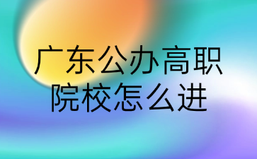 广东公办高职院校怎么进