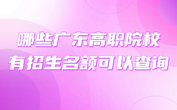 哪些广东高职院校有招生名额可以查询