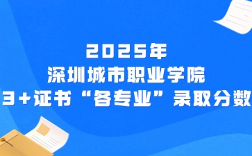 2025年深圳城市职业学院3+证书“各专业”录取分数
