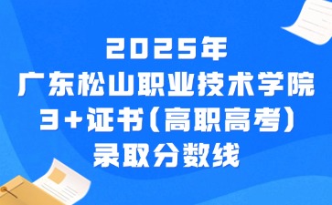 2025年广东松山职业技术学院3+证书(高职高考)录取分数线