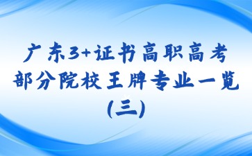 广东3+证书高职高考部分院校王牌专业