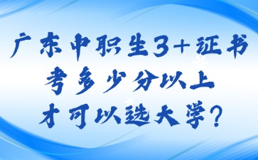 广东中职生3+证书考多少分以上才可以选大学?